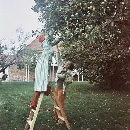Apartment Historisches Fehmarn