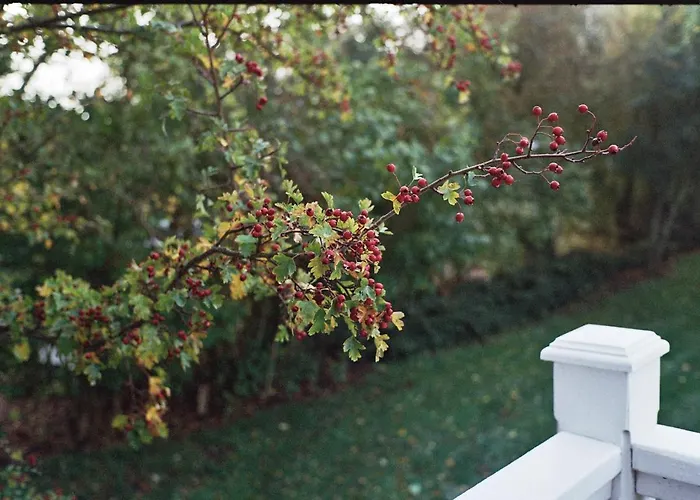 Lägenhet Historisches Fehmarn Strukkamp auf Fehmarn