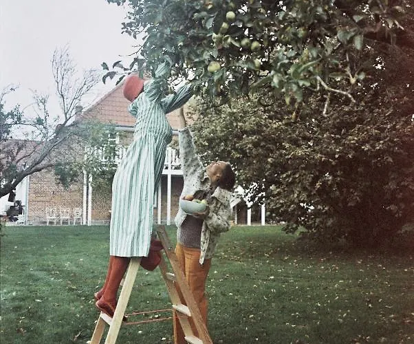 Lägenhet Historisches Fehmarn